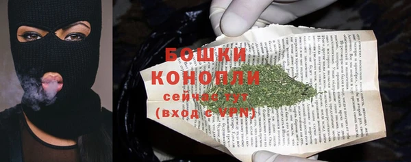 spice Аркадак