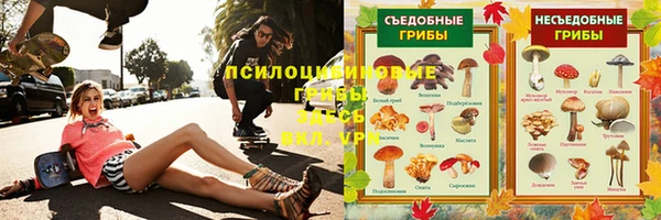 spice Аркадак
