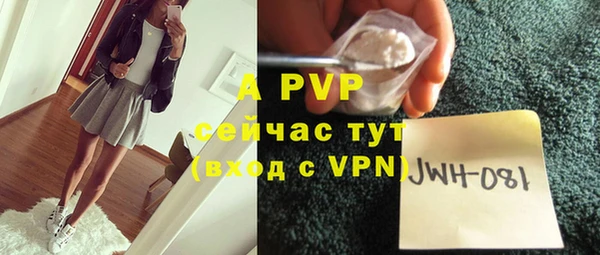 spice Аркадак