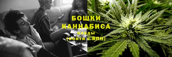 spice Аркадак