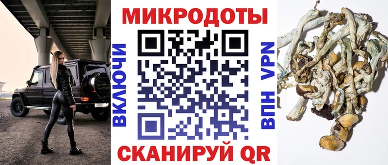 Псилоцибиновые грибы Magic Shrooms  купить наркоту  Сарапул 